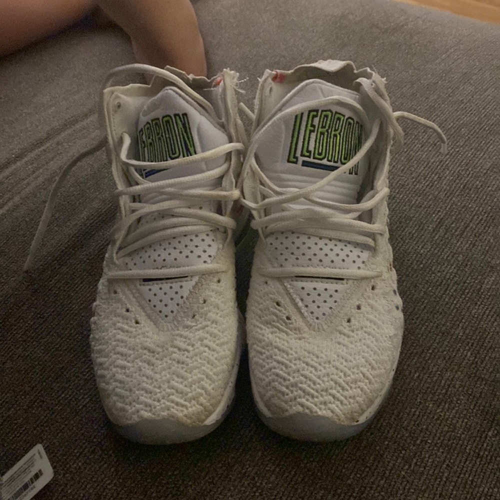 LeBron basketball shoes